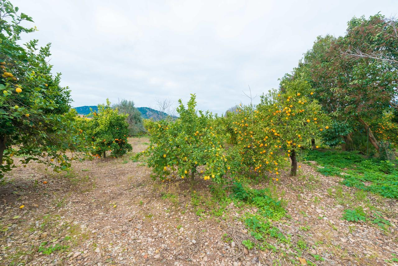 Can Raia Sóller Esterno foto